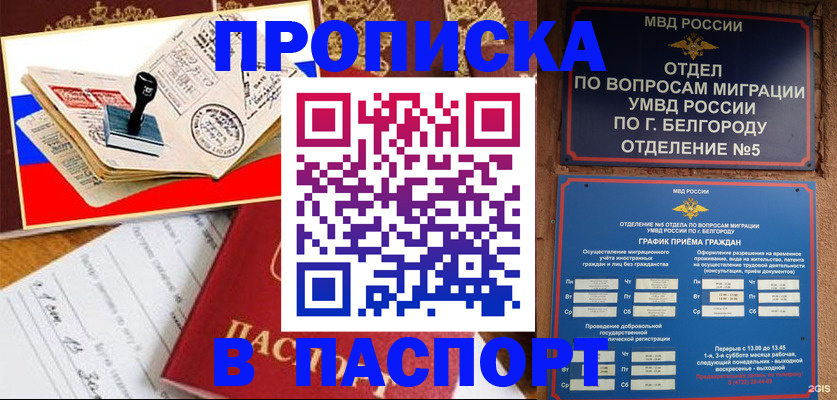 купить прописку в Камбарке